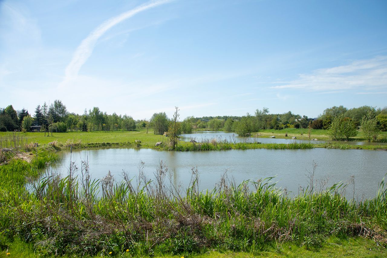 image 03